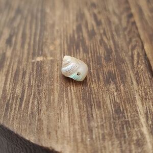Mother of pearl‎ delicate shell charm bead